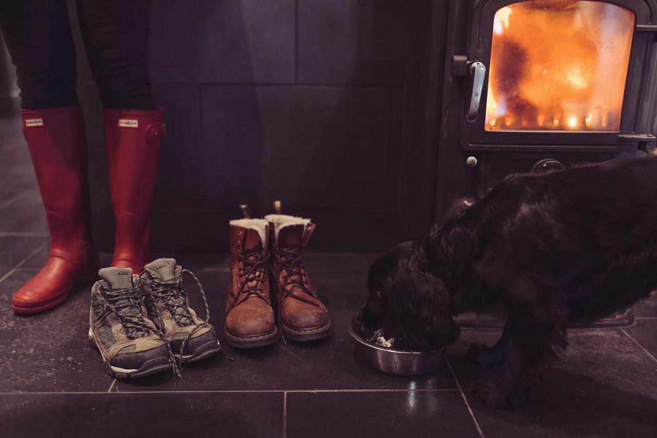 Longlands Inn & Cottages Carnforth Dış mekan fotoğraf A dog in front of a wood burning stove